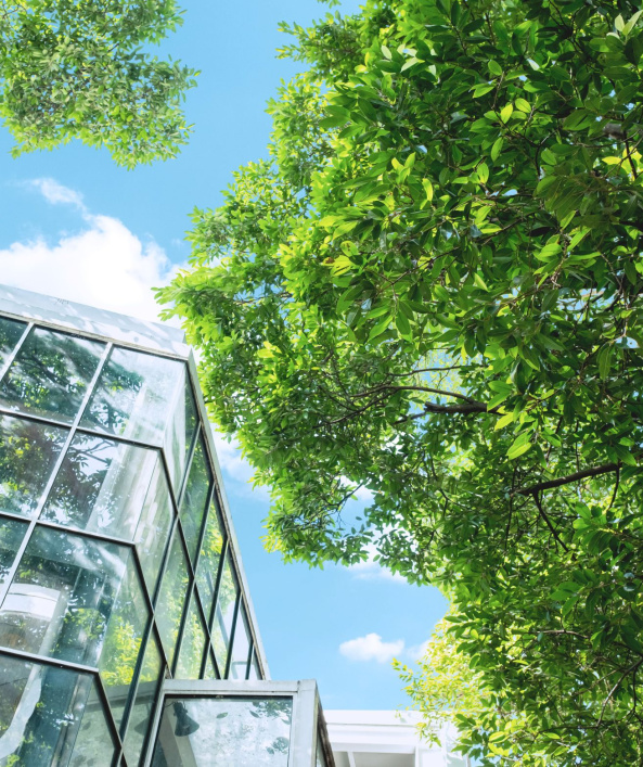 Corporate Solutions Sustainability ESG