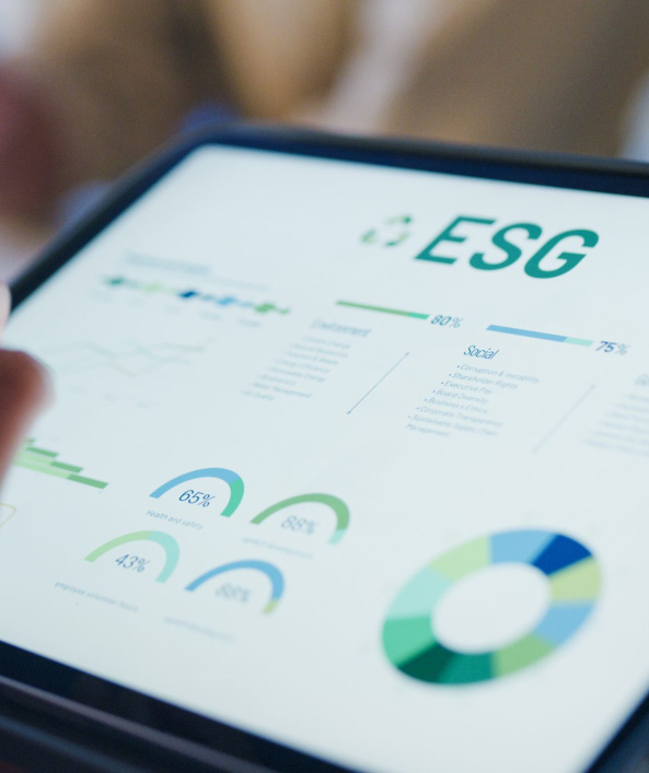 ESG Corporate Solutions for businesses