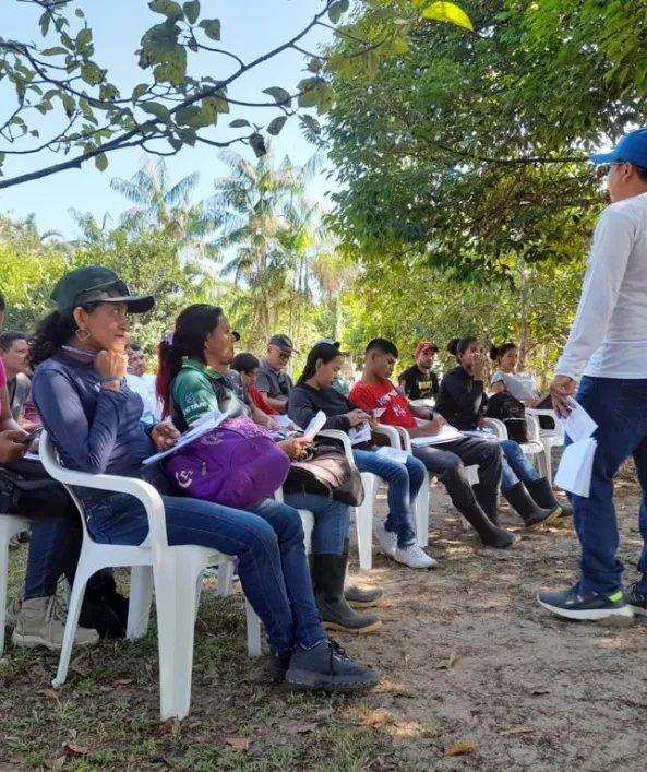 Stingeless-bees-July-13-593x707-c-default